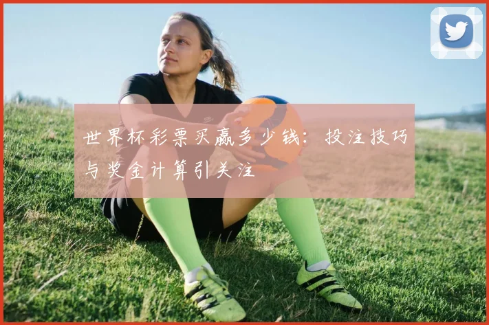 世界杯彩票买赢多少钱：投注技巧与奖金计算引关注
