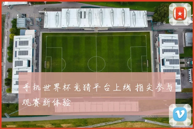 手机世界杯竞猜平台上线 指尖参与观赛新体验