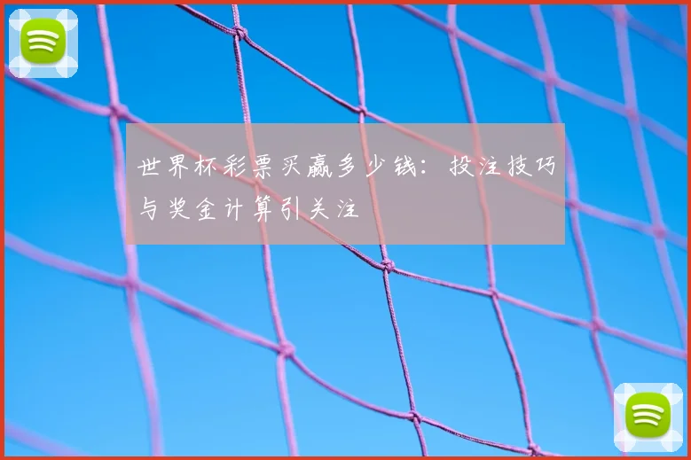 世界杯彩票买赢多少钱：投注技巧与奖金计算引关注