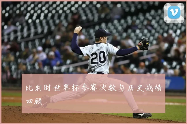 比利时世界杯参赛次数与历史战绩回顾