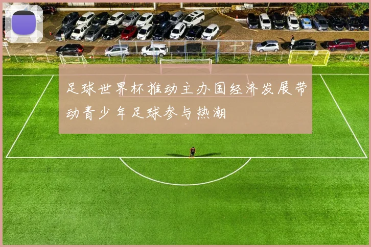 足球世界杯推动主办国经济发展带动青少年足球参与热潮