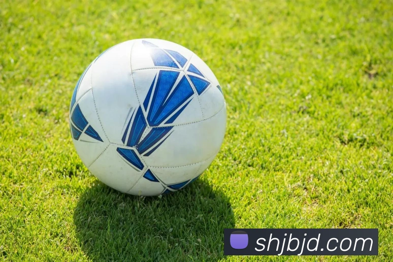 pg娱乐电子游戏平台入口APP 体育赛事宣传图